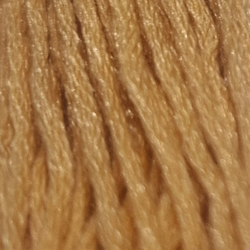 Embroidery Thread 3854