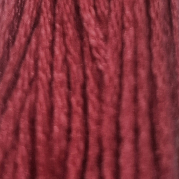 Embroidery Thread 309