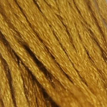 Embroidery Thread 3852