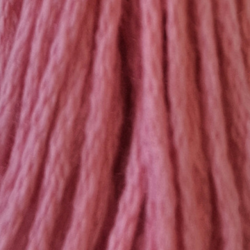 Embroidery Thread 3806