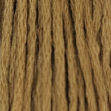 Embroidery Thread 3828