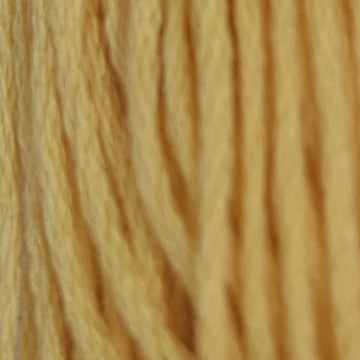 Embroidery Thread 3822