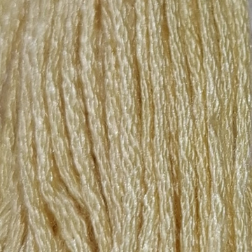 Embroidery Thread 3047