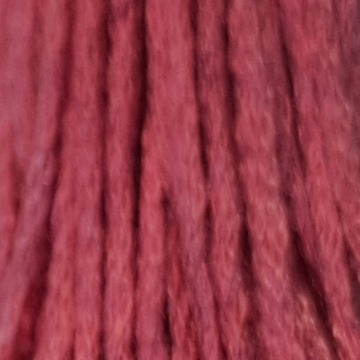 Embroidery Thread 3731