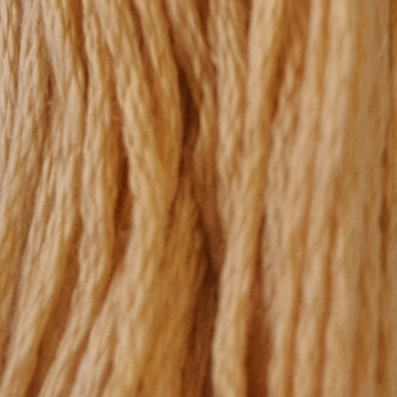 Embroidery Thread 3827