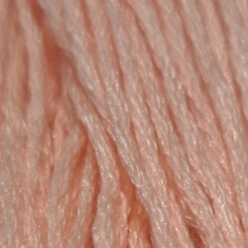 Embroidery Thread 967