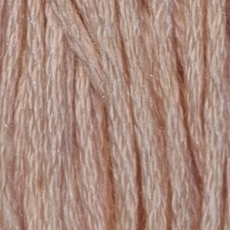 Embroidery Thread 754