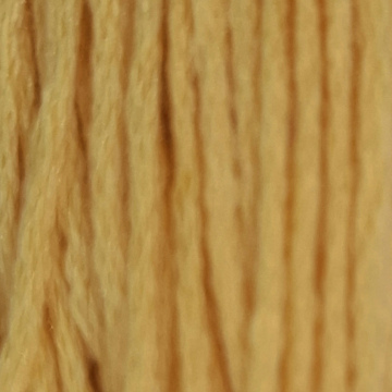 Embroidery Thread 3821