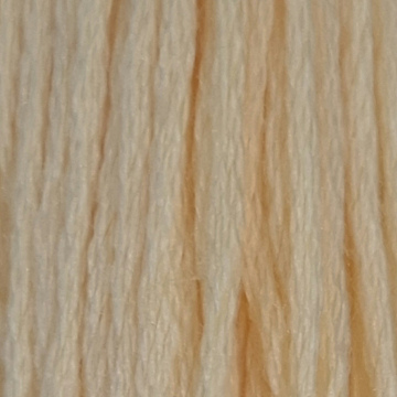 Embroidery Thread 3823