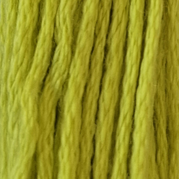 Embroidery Thread 3819