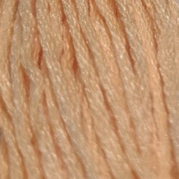 Embroidery Thread 3855