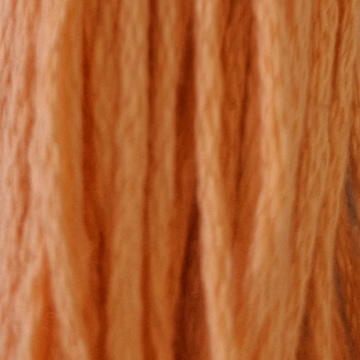 Embroidery Thread 3825