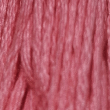 Embroidery Thread 956