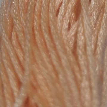 Embroidery Thread 3856