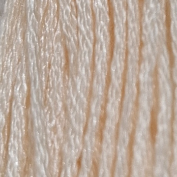 Embroidery Thread 3770